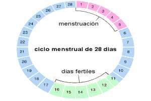 Imagen ilustrativa del artículo Salvia para regular el Ciclo Menstrual